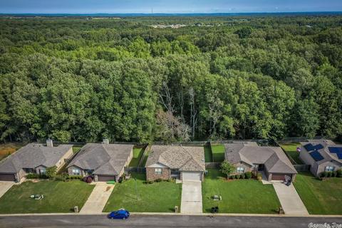 32 Birchwood Dr, Ward, AR 72176 photo 36