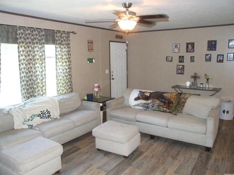 118 Icy Ln, Wickes, AR 71973 photo 3