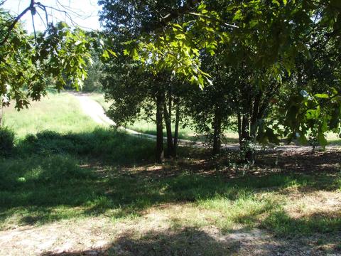 118 Icy Ln, Wickes, AR 71973 photo 34
