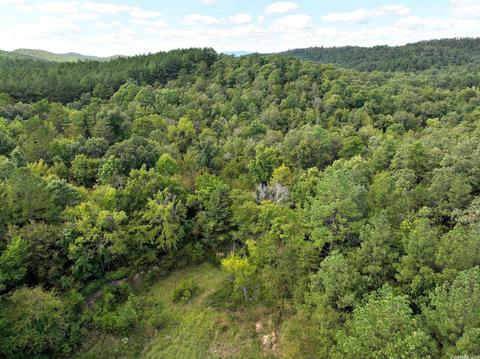 200 Macks Ln, Mena, AR 71953 photo 49