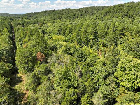 200 Macks Ln, Mena, AR 71953 photo 45