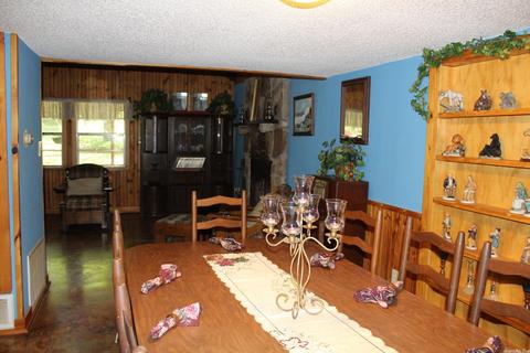 200 Macks Ln, Mena, AR 71953 photo 29