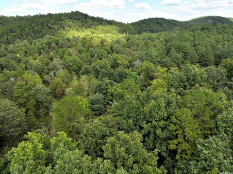 200 Macks Ln, Mena, AR 71953 photo 50