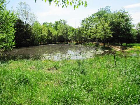 261 Foothill Ln, Marshall, AR 72650 photo 34