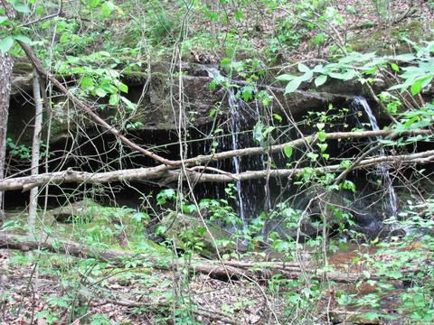 261 Foothill Ln, Marshall, AR 72650 photo 39