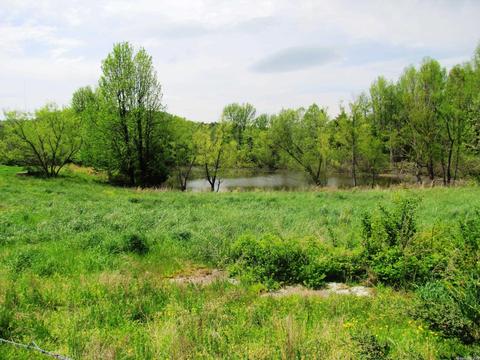 261 Foothill Ln, Marshall, AR 72650 photo 32