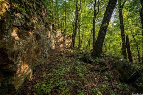261 Foothill Ln, Marshall, AR 72650 photo 5