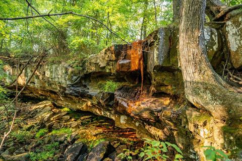 261 Foothill Ln, Marshall, AR 72650 photo 8