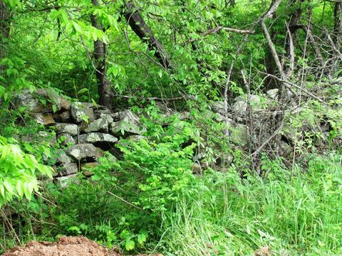 261 Foothill Ln, Marshall, AR 72650 photo 33