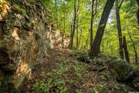 261 Foothill Ln, Marshall, AR 72650 photo 4