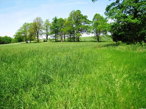 1864 S Mountain Rd, Marshall, AR 72650 photo 42