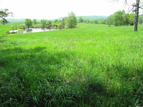 1864 S Mountain Rd, Marshall, AR 72650 photo 33