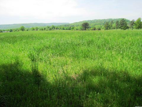 1864 S Mountain Rd, Marshall, AR 72650 photo 41
