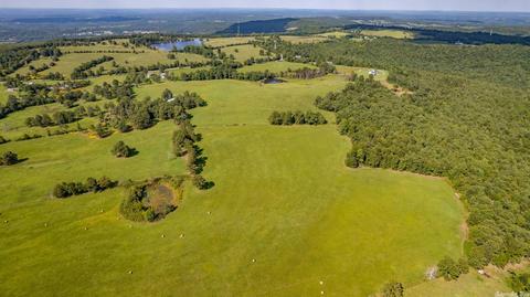1864 S Mountain Rd, Marshall, AR 72650 photo 8