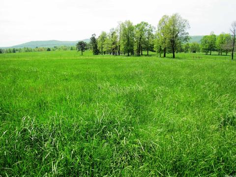 1864 S Mountain Rd, Marshall, AR 72650 photo 29