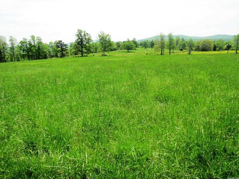 1864 S Mountain Rd, Marshall, AR 72650 photo 38