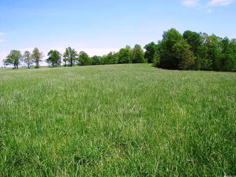 1864 S Mountain Rd, Marshall, AR 72650 photo 40