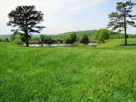 1864 S Mountain Rd, Marshall, AR 72650 photo 35