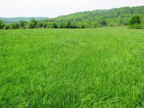 1864 S Mountain Rd, Marshall, AR 72650 photo 37