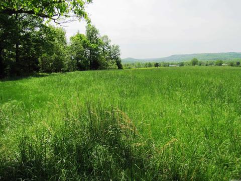 1864 S Mountain Rd, Marshall, AR 72650 photo 43