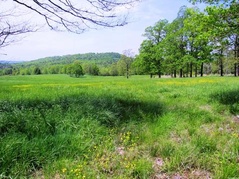 1864 S Mountain Rd, Marshall, AR 72650 photo 31