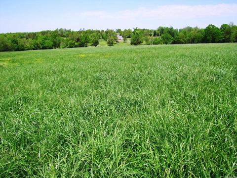 1864 S Mountain Rd, Marshall, AR 72650 photo 25