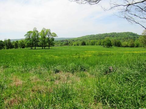 1864 S Mountain Rd, Marshall, AR 72650 photo 32