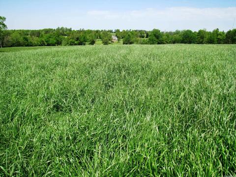 1864 S Mountain Rd, Marshall, AR 72650 photo 28