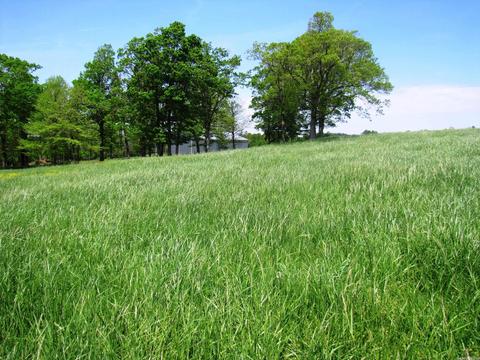 1864 S Mountain Rd, Marshall, AR 72650 photo 30