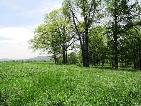 1864 S Mountain Rd, Marshall, AR 72650 photo 26