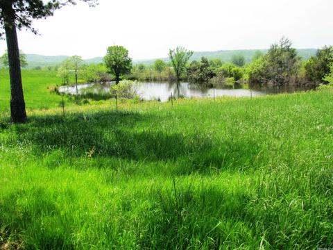 1864 S Mountain Rd, Marshall, AR 72650 photo 34