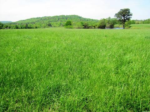 1864 S Mountain Rd, Marshall, AR 72650 photo 36