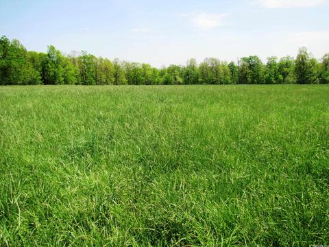 1864 S Mountain Rd, Marshall, AR 72650 photo 39