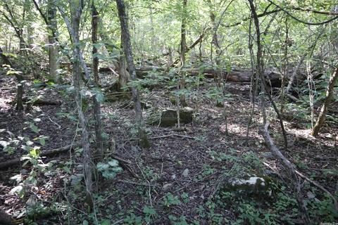 1392 River Hill Rd, Glencoe, AR 72539 photo 16
