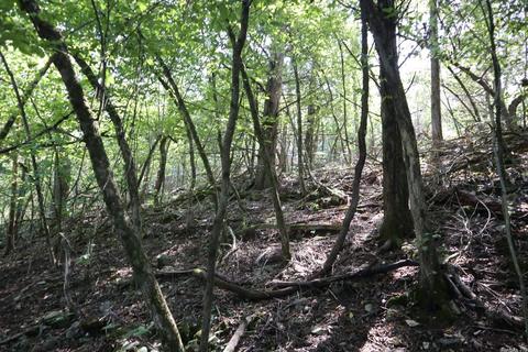 1392 River Hill Rd, Glencoe, AR 72539 photo 15