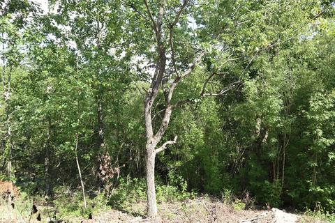 1392 River Hill Rd, Glencoe, AR 72539 photo 19