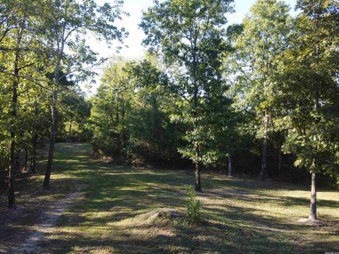 242 River Rd, Norman, AR 71960 photo 28