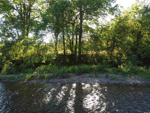 242 River Rd, Norman, AR 71960 photo 3