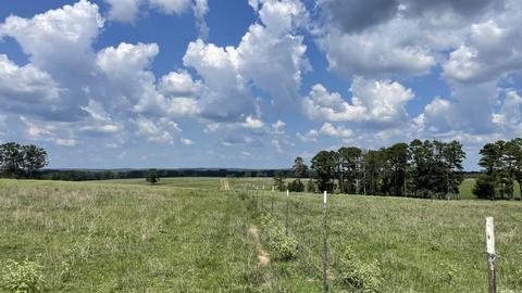 491 Thomas Rd, Hickory Flat, AR 72121 photo 45