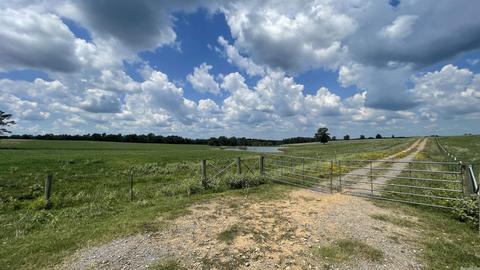 491 Thomas Rd, Hickory Flat, AR 72121 photo 42