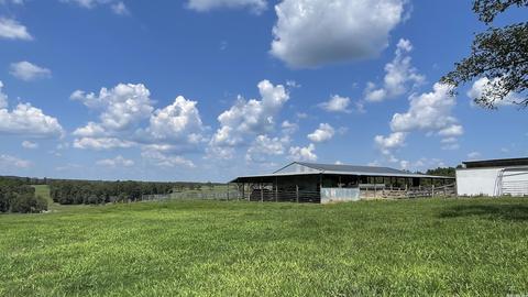 491 Thomas Rd, Hickory Flat, AR 72121 photo 5