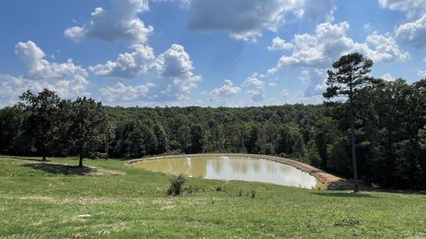 491 Thomas Rd, Hickory Flat, AR 72121 photo 19