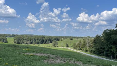 491 Thomas Rd, Hickory Flat, AR 72121 photo 7