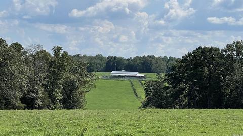 491 Thomas Rd, Hickory Flat, AR 72121 photo 15