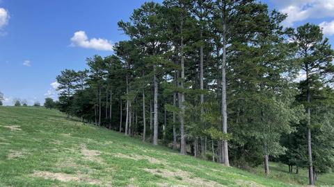 491 Thomas Rd, Hickory Flat, AR 72121 photo 18