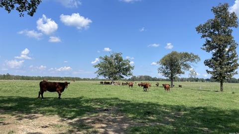 491 Thomas Rd, Hickory Flat, AR 72121 photo 20