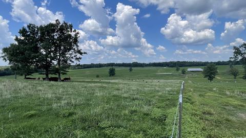 491 Thomas Rd, Hickory Flat, AR 72121 photo 37