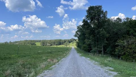 491 Thomas Rd, Hickory Flat, AR 72121 photo 8