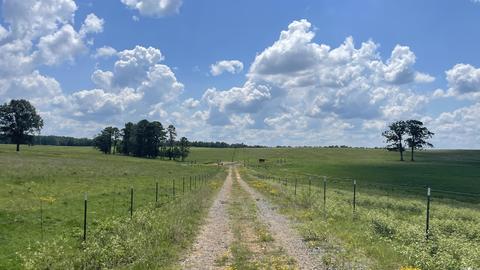 491 Thomas Rd, Hickory Flat, AR 72121 photo 36
