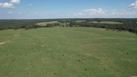 491 Thomas Rd, Hickory Flat, AR 72121 photo 28